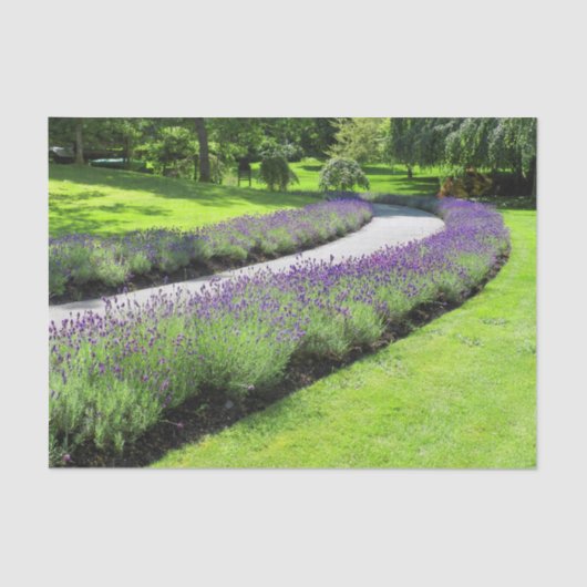 Stunning Lavender-Lined Garden Walscape Landscape Tissuepapier (Voorkant)