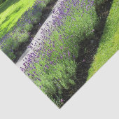 Stunning Lavender-Lined Garden Walscape Landscape Tissuepapier (Detail)