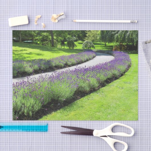 Stunning Lavender-Lined Garden Walscape Landscape Tissuepapier (Craft)