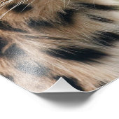 Stunning leopard portret foto afdruk (Hoek)