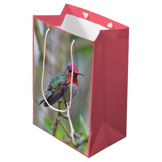Stunning Male Anna's Hummingbird in Plum Tree Medium Cadeauzakje (Voorkant Gekanteld)