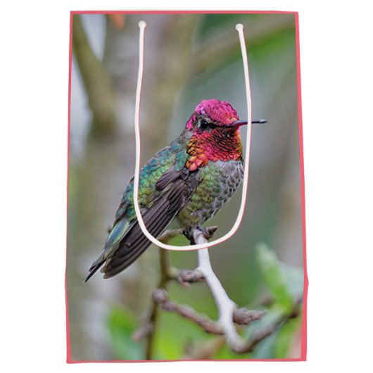 Stunning Male Anna's Hummingbird in Plum Tree Medium Cadeauzakje (Achterkant)