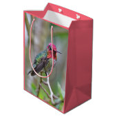 Stunning Male Anna's Hummingbird in Plum Tree Medium Cadeauzakje (Achterkant Gekanteld)