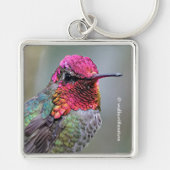 Stunning Male Anna's Hummingbird in Plum Tree Sleutelhanger (Voorkant)