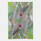 Stunning Male Anna's Hummingbird in Plum Tree Theedoek (Verticaal)
