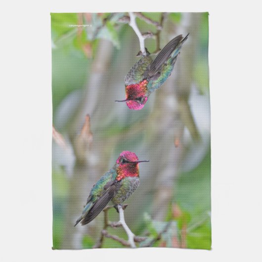 Stunning Male Anna's Hummingbird in Plum Tree Theedoek (Verticaal)