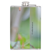 Stunning Male Anna's Hummingbird op de Plum Tree Heupfles (Achterkant)