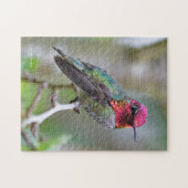 Stunning Male Anna's Hummingbird op de Plum Tree Legpuzzel (Horizontaal)