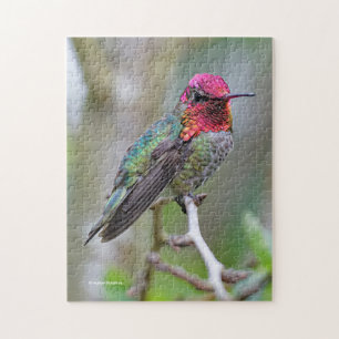 Stunning Male Anna's Hummingbird op de Plum Tree Legpuzzel