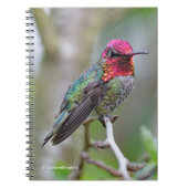 Stunning Male Anna's Hummingbird op de Plum Tree Notitieboek (Voorkant)