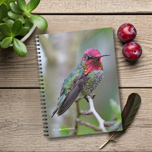 Stunning Male Anna's Hummingbird op de Plum Tree Notitieboek