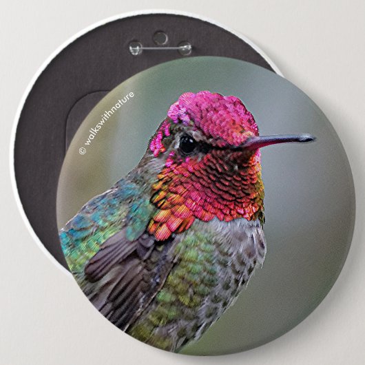 Stunning Male Anna's Hummingbird op de Plum Tree Ronde Button 6,0 Cm (Voorkant /achterkant)