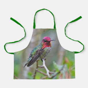 Stunning Male Anna's Hummingbird op de Plum Tree Schort