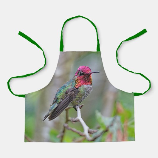 Stunning Male Anna's Hummingbird op de Plum Tree Schort (Voorkant)