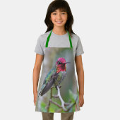 Stunning Male Anna's Hummingbird op de Plum Tree Schort (Insitu)