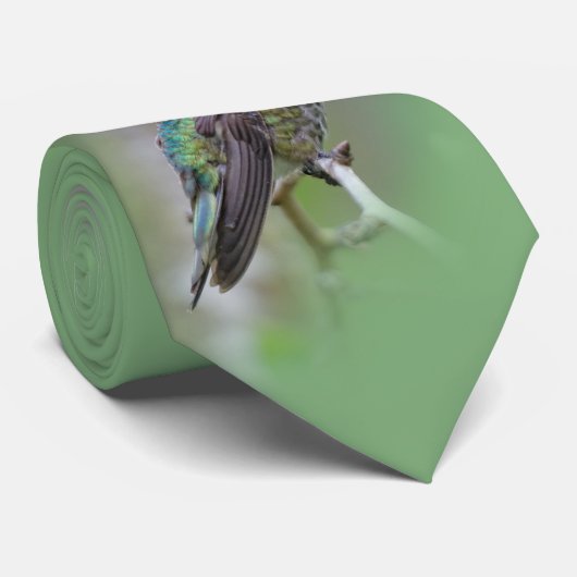 Stunning Male Anna's Hummingbird op de Plum Tree Stropdas (Opgerold)