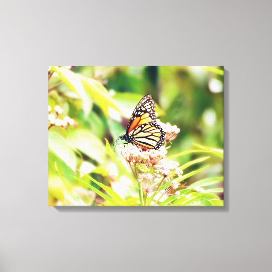 Stunning Nature & Butterfly Art Foam Board Canvas Afdruk (Voorkant)