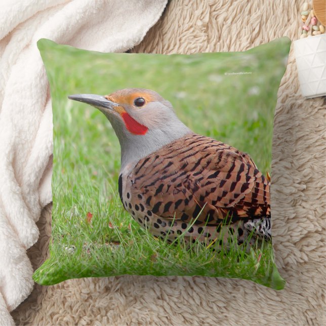 Stunning Northern Flicker Foerageert in het Gras Kussen (Deken)