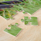 Stunning Northern Flicker Foraging in the Grass Legpuzzel (Zijkant)