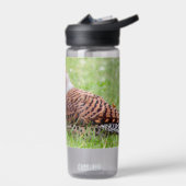 Stunning Northern Flicker Foraging in the Grass Waterfles (Links)