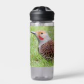 Stunning Northern Flicker Foraging in the Grass Waterfles (Voorkant)