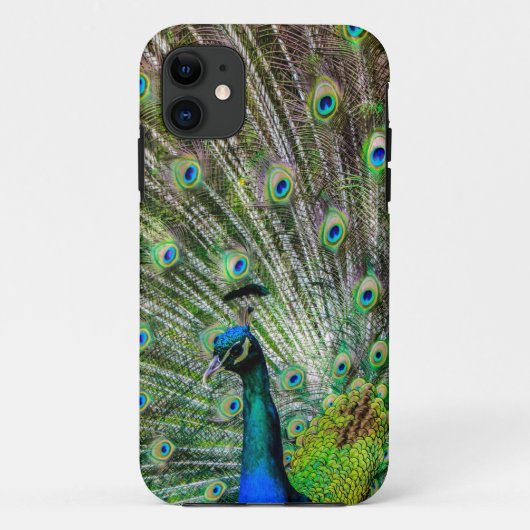 Stunning Pauw en veren foto accessoires Case-Mate iPhone Case (Achterkant)
