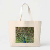 Stunning Pauw  en veren foto accessoires Grote Tote Bag (Voorkant)