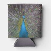 Stunning Peacock Blikjeskoeler (Voorkant)