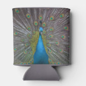 Stunning Peacock Blikjeskoeler (Achterkant)