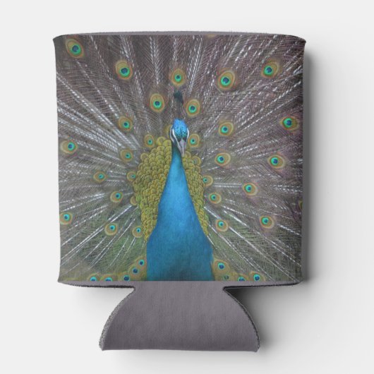 Stunning Peacock Blikjeskoeler (Achterkant)