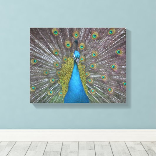 Stunning Peacock Canvas Afdruk (Insitu (Houten vloer))