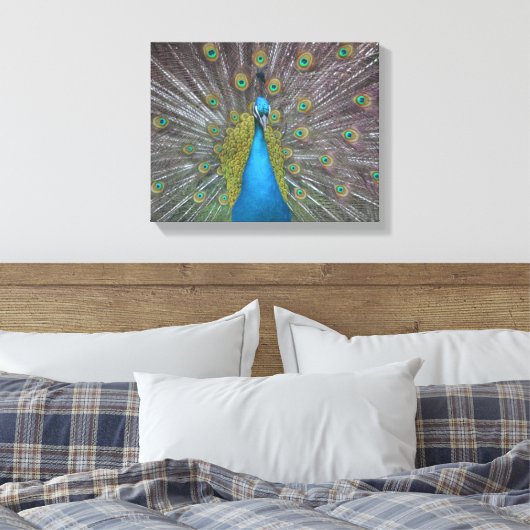 Stunning Peacock Canvas Afdruk (Insitu (Slaapkamer))