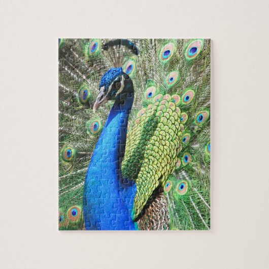 Stunning Peacock Foto Legpuzzel (Verticaal)