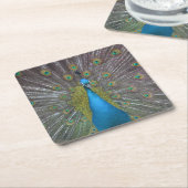 Stunning Peacock Kartonnen Onderzetters (Schuin)