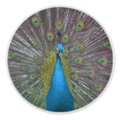 Stunning Peacock Keramische Knop (Voorkant)