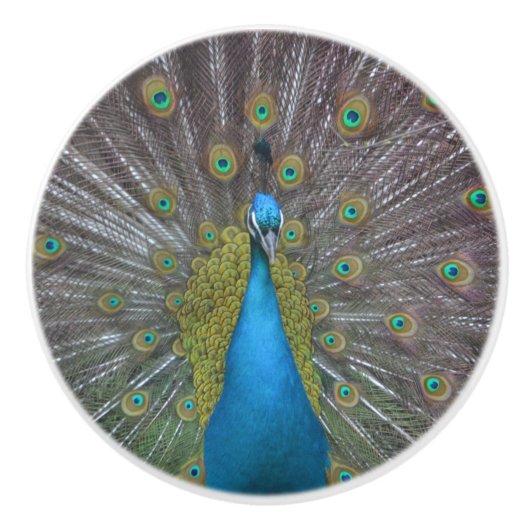 Stunning Peacock Keramische Knop (Voorkant)