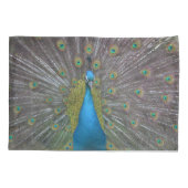 Stunning Peacock Kussensloop (Achterkant)