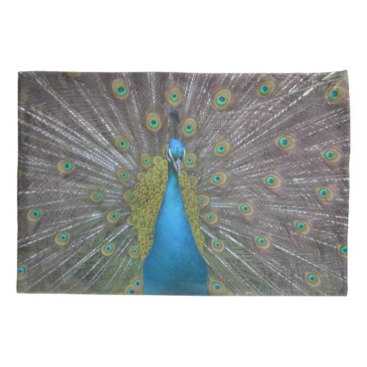 Stunning Peacock Kussensloop (Achterkant)