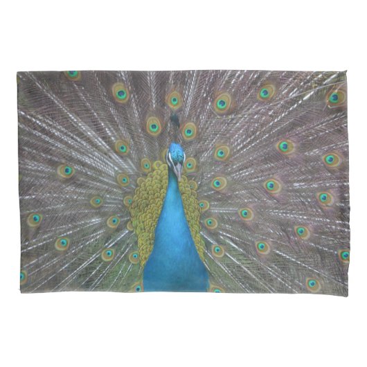 Stunning Peacock Kussensloop (Voorkant)