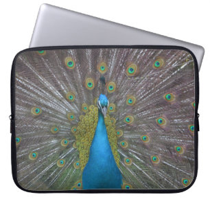 Stunning Peacock Laptop Sleeve