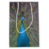 Stunning Peacock Medium Cadeauzakje (Voorkant)