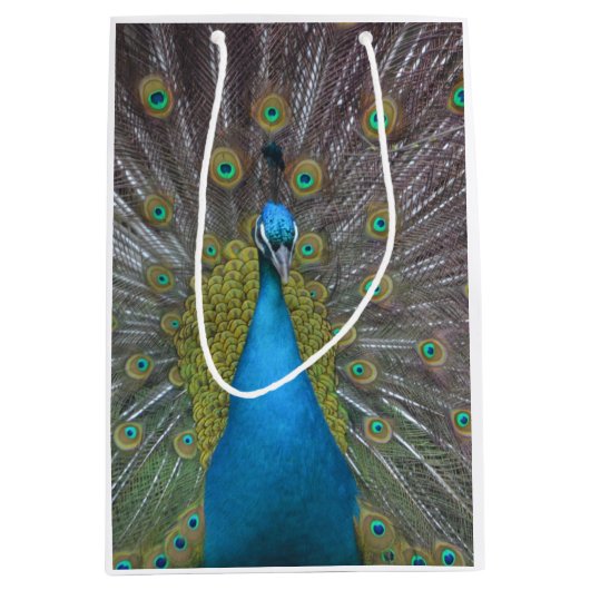 Stunning Peacock Medium Cadeauzakje (Voorkant)