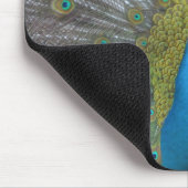 Stunning Peacock Muismat (Hoek)