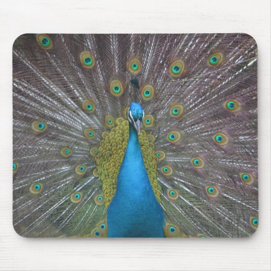 Stunning Peacock Muismat (Voorkant)