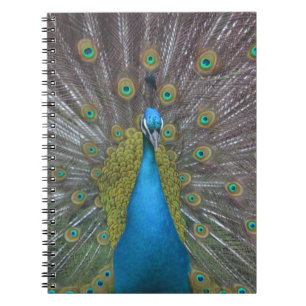 Stunning Peacock Notitieboek
