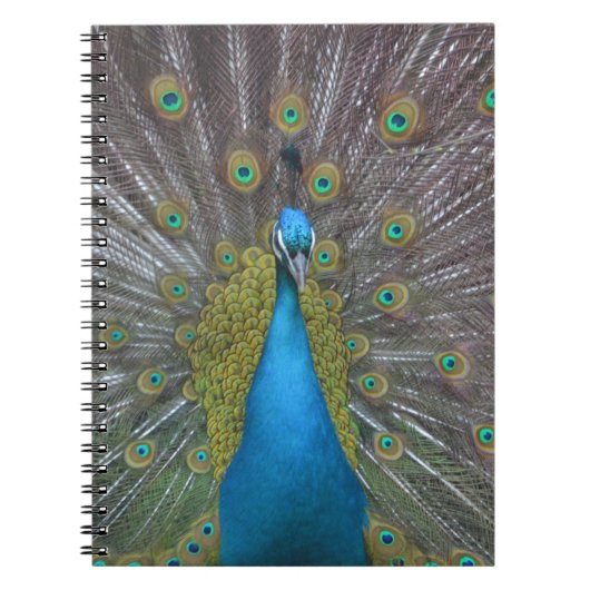 Stunning Peacock Notitieboek (Voorkant)
