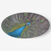 Stunning Peacock Papieren Bordje (Gekanteld)