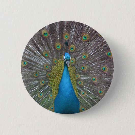 Stunning Peacock Ronde Button 5,7 Cm (Voorkant)