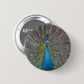 Stunning Peacock Ronde Button 5,7 Cm (Voorkant /achterkant)