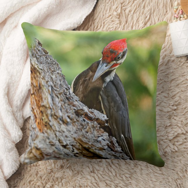 Stunning Portrait of Pileated Woodpecker in Tree Kussen (Deken)